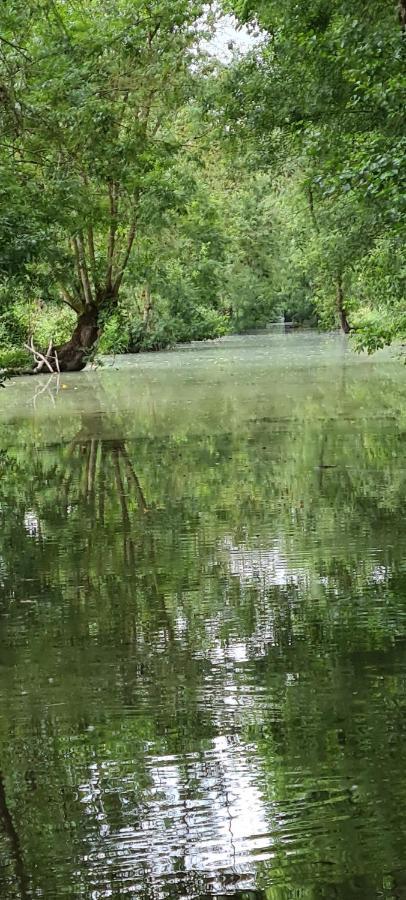 L'Enclos Bleu, Gite - Marais Poitevin Avec Piscine Chauffee Chaille-Les-Marais Exterior photo